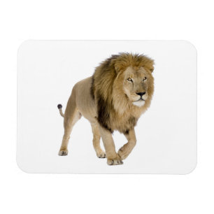 Loin image for Photo Magnet