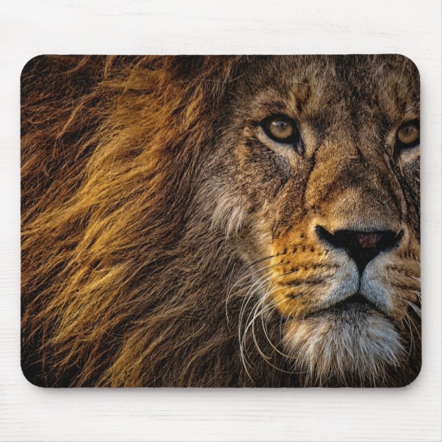 Loin mouse pad (Front)