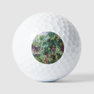 Loire Valley Vineyard – French Grape Painting Golf Balls