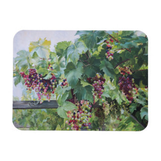 Loire Valley Vineyard – French Grape Painting Magnet
