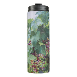 Loire Valley Vineyard – French Grape Painting Thermal Tumbler