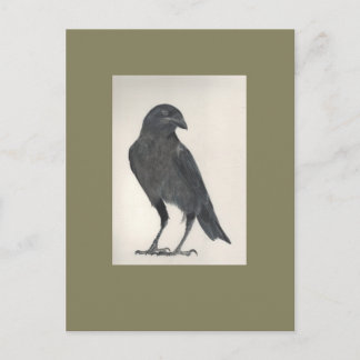 L'oiseau fier postcard