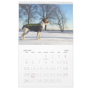 Loki 2020 Calendar