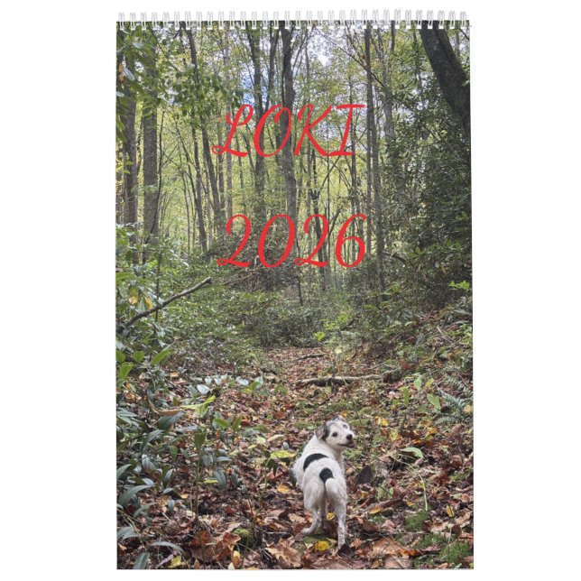 loki 2026 calendar (Cover)