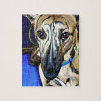 Loki - Lurcher dog