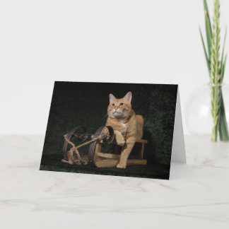 Loki with his "Rosebud" Holiday Card