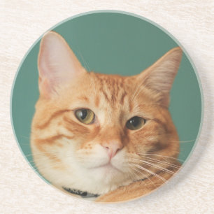 Loki's Best Side Coaster