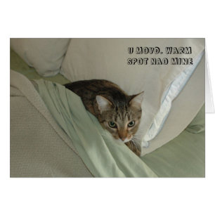 LOL Cat card