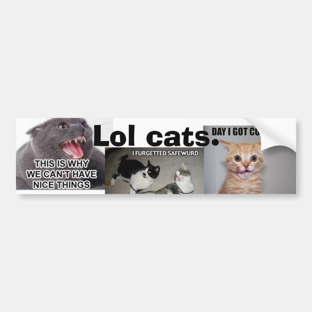 Lol Cats Bumper Sticker (Front)