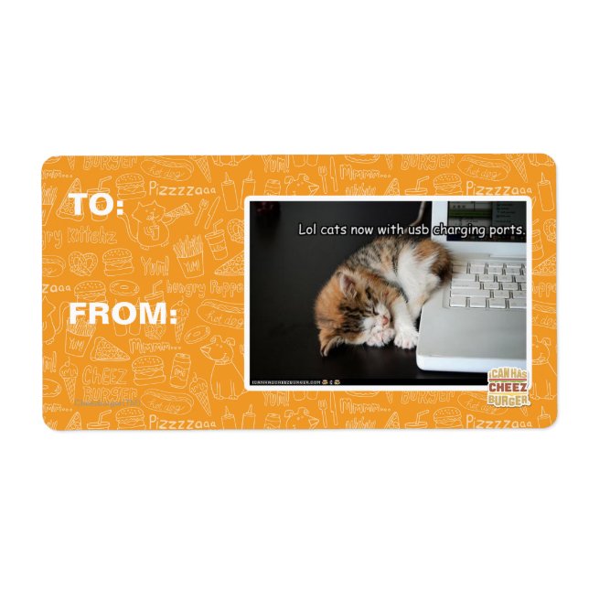 Lol cats with USB (Front)
