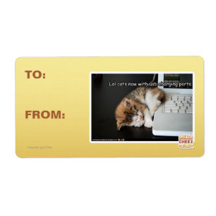 Lol cats with USB