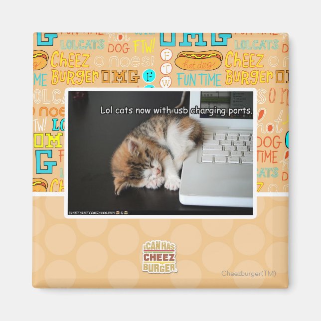Lol cats with USB Magnet (Front)