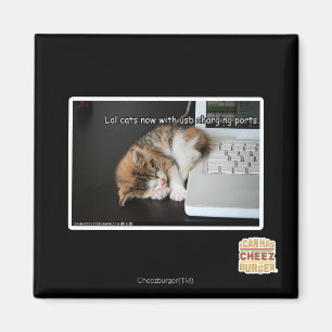 Lol cats with USB Magnet