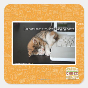 Lol cats with USB Square Sticker