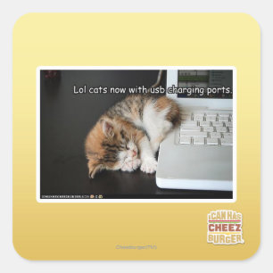 Lol cats with USB Square Sticker