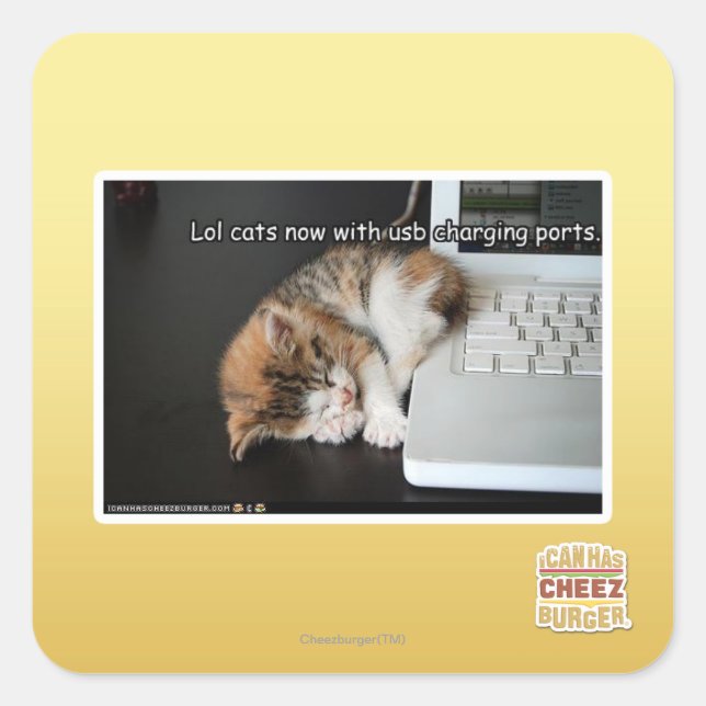 Lol cats with USB Square Sticker (Front)