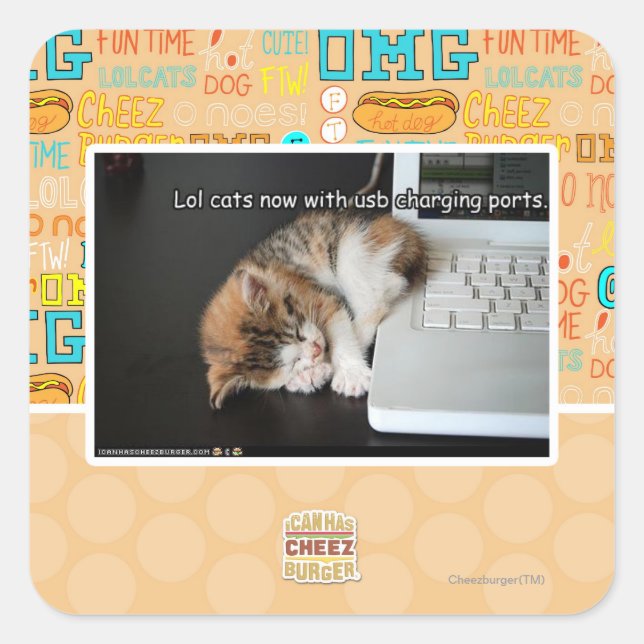 Lol cats with USB Square Sticker (Front)