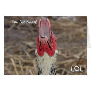 LOL, You Are Funny!