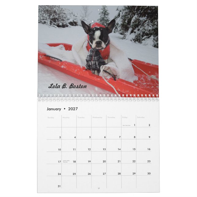 Lola B. Boston 2015 Calendar (Jan 2027)