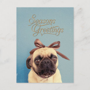 Lola with bow postcard