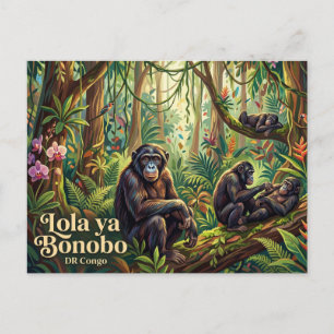 Lola ya Bonobo Sanctuary Postcard