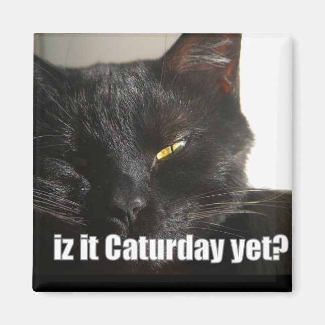 LOLCat 2 Magnet (Front)