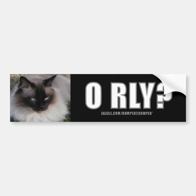 LOLCat 4 bumpersticker Bumper Sticker (Front)