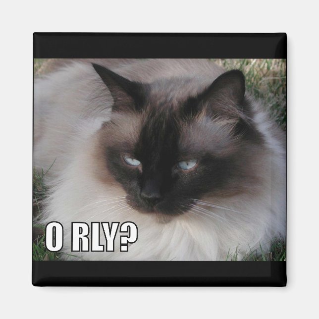 LOLCat 4 Magnet (Front)