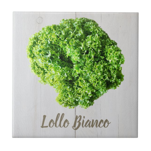 Lollo Bianco Salad lettuce leaves for Vegans Ceramic Tile (Front)