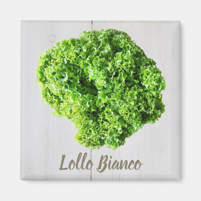 Lollo Bianco Salad lettuce leaves for Vegans Magnet (Front)