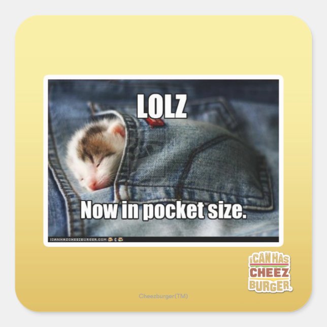 LOLZ Now in Pocket Size Square Sticker (Front)