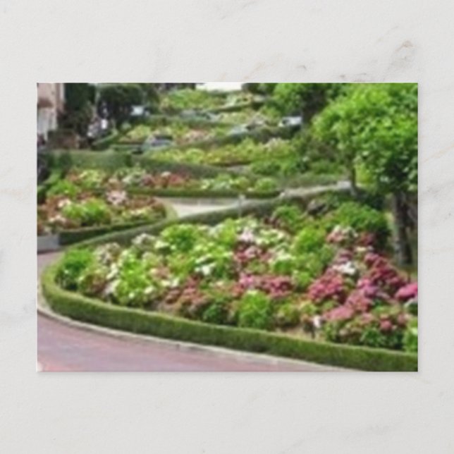 Lombardi Street in San Fransico Postcard (Front)