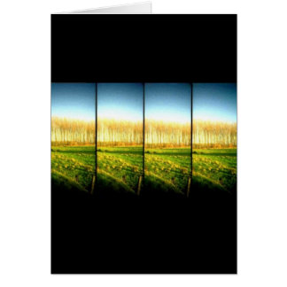 lomo landscape 2