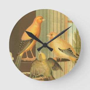 London Fancy Canaries - vintage birds Round Clock