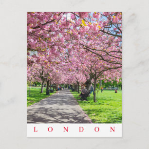 London Greenwich Park cherry blossom view postcard
