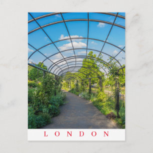 London Hyde Park path view postcard