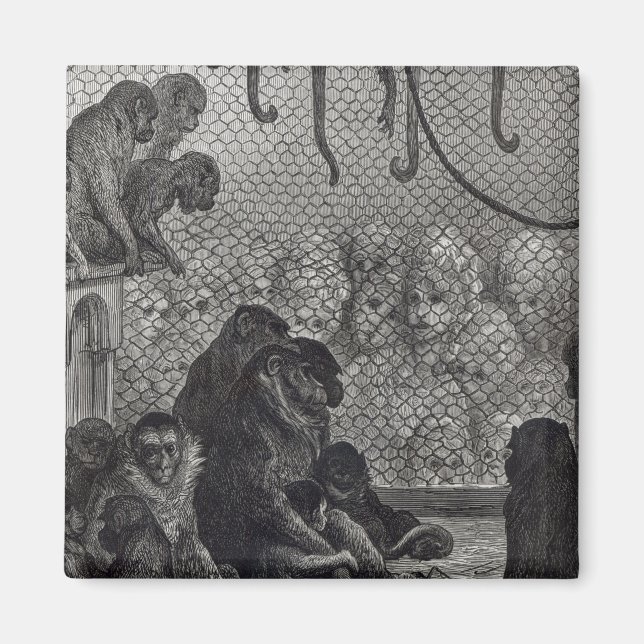 London' Monkeys Magnet (Front)