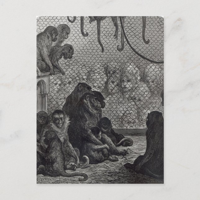 London' Monkeys Postcard (Front)
