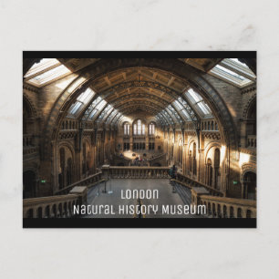 London - Natural History Museum Postcard