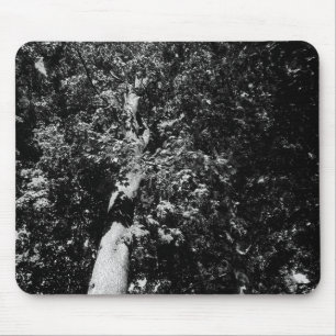 London Plane Tree B&W Mouse Pad