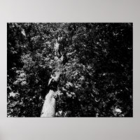 London Plane Tree - B&W