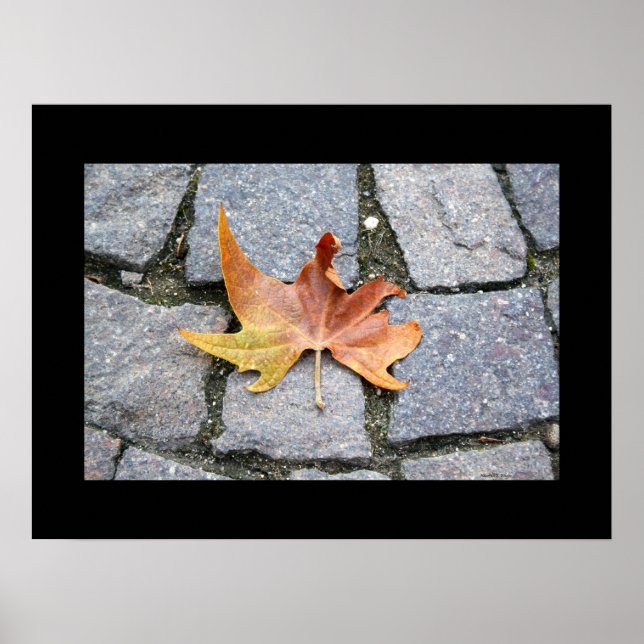 London Plane Tree Leaf Poster (Front)