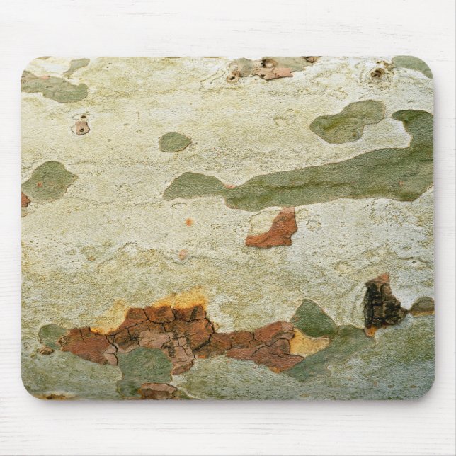 London plane tree wood bark nature plant texture p mouse pad (Front)