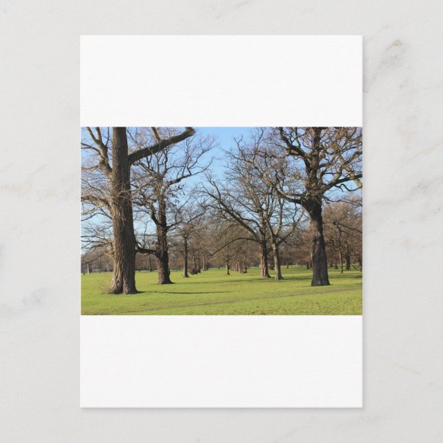 London Postcard (Front)