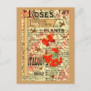 London Town Plants Postcard