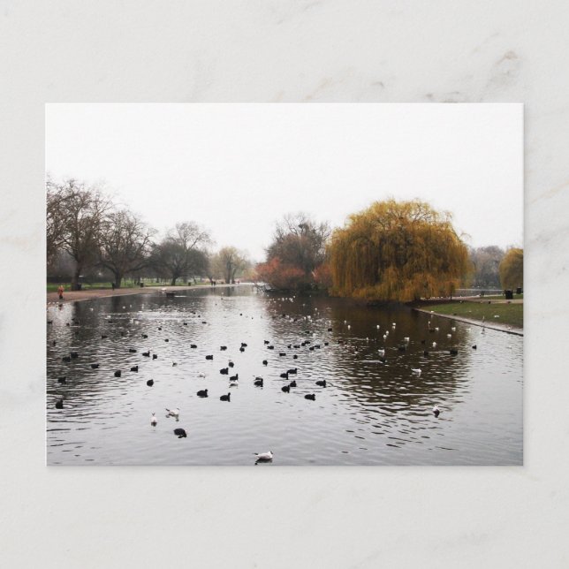 LONDON's parks Postcard (Front)