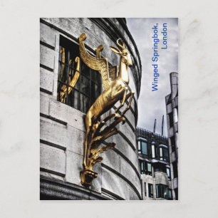 London's Winged Springbok Postcard