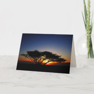 Lone Acacia at Fiery Red Sunrise, Blank Inside Card