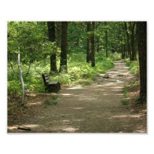 Lone Bench 10 x 8 Photographic Print