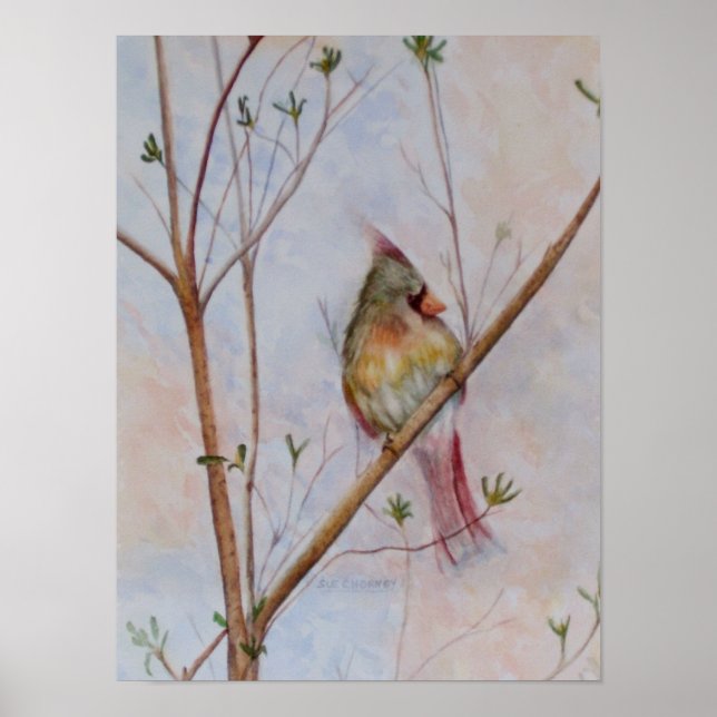 Lone Bird on a Tree Branch Poster (Front)